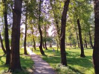 В шаговой доступности Черногорский парк