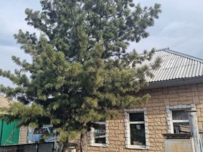 1-комнатная комната