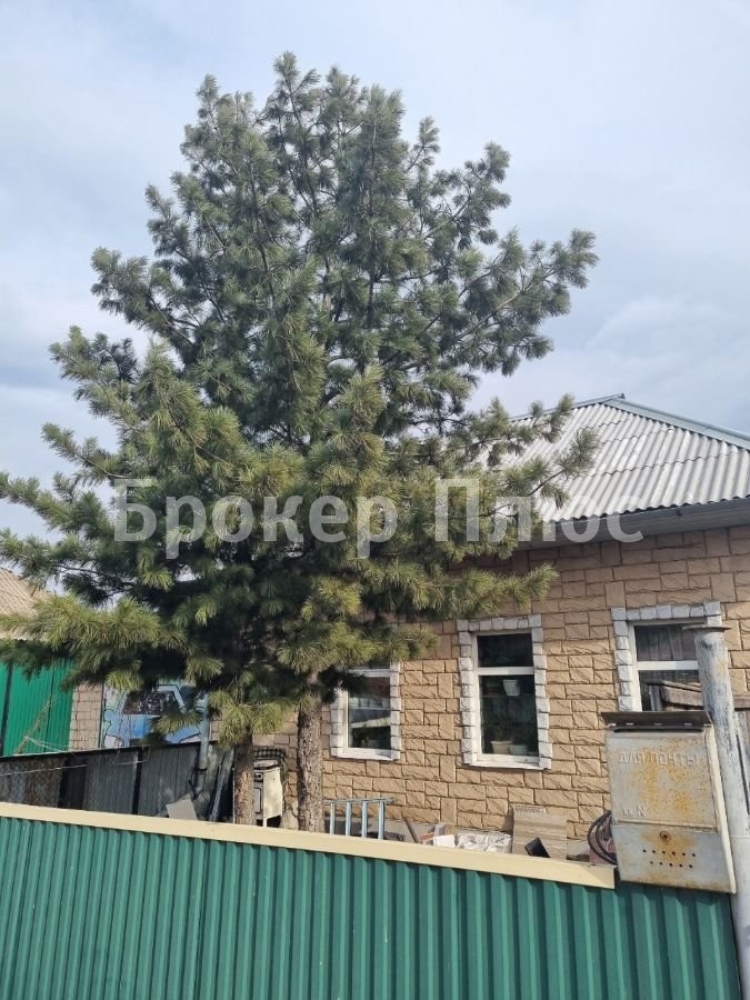 Сдаю 1-к. комнату, 30 м². Абакан, Катанова, 21